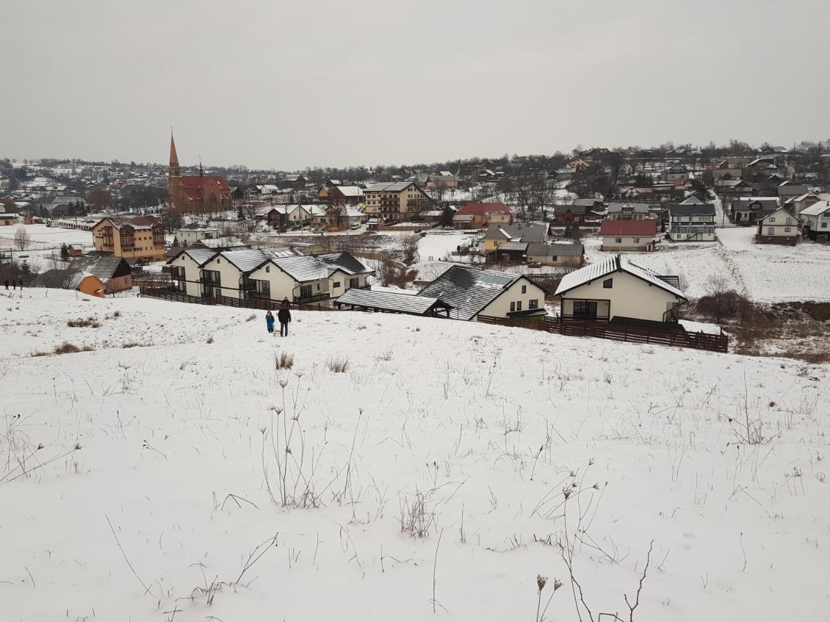 Sat De Vacanta Martisorul Cacica Buitenkant foto