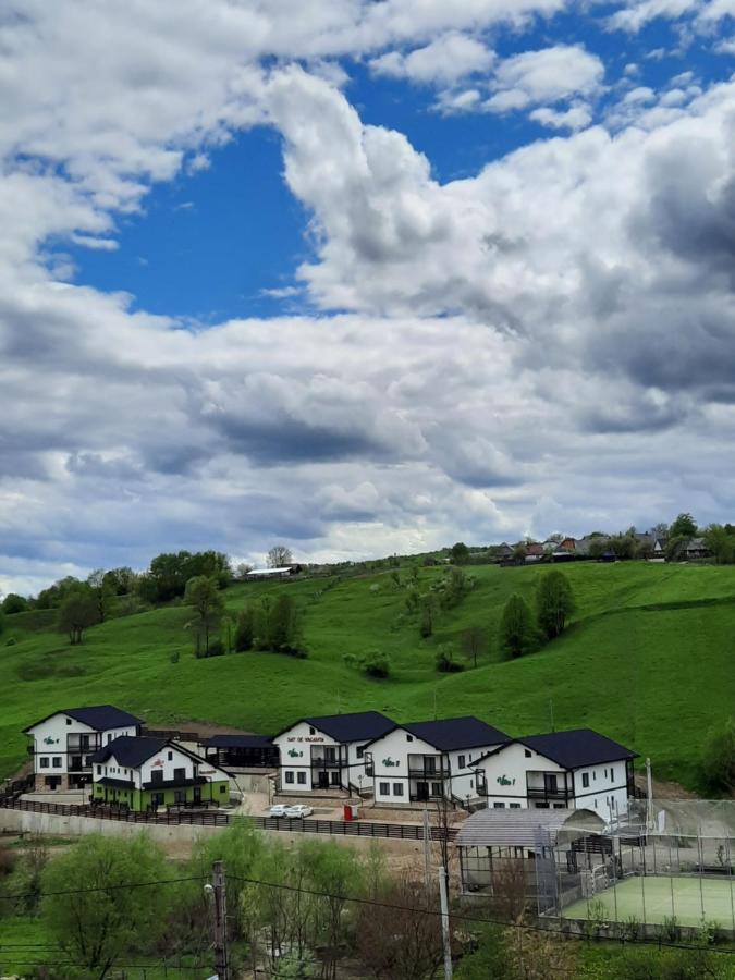Sat De Vacanta Martisorul Cacica Buitenkant foto