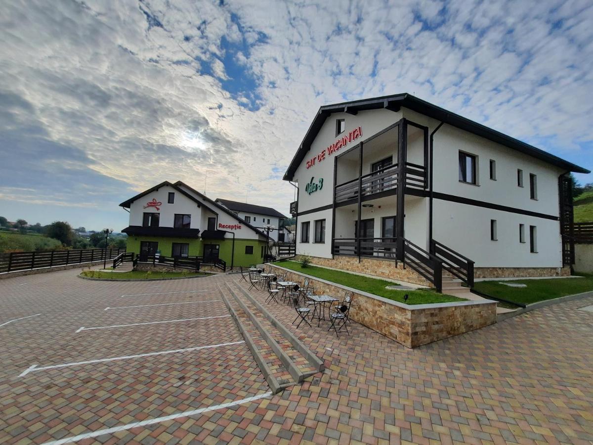 Sat De Vacanta Martisorul Cacica Buitenkant foto